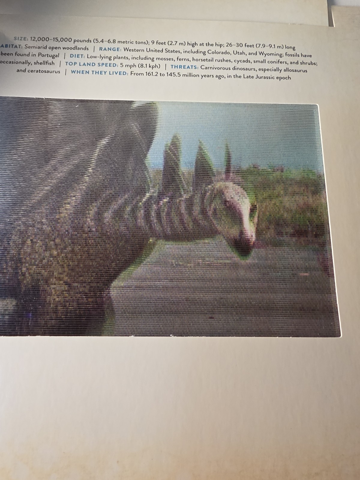 Dinosaur Photicular Hardcover Book Created By Dan Kainen & Kathy Wollard
