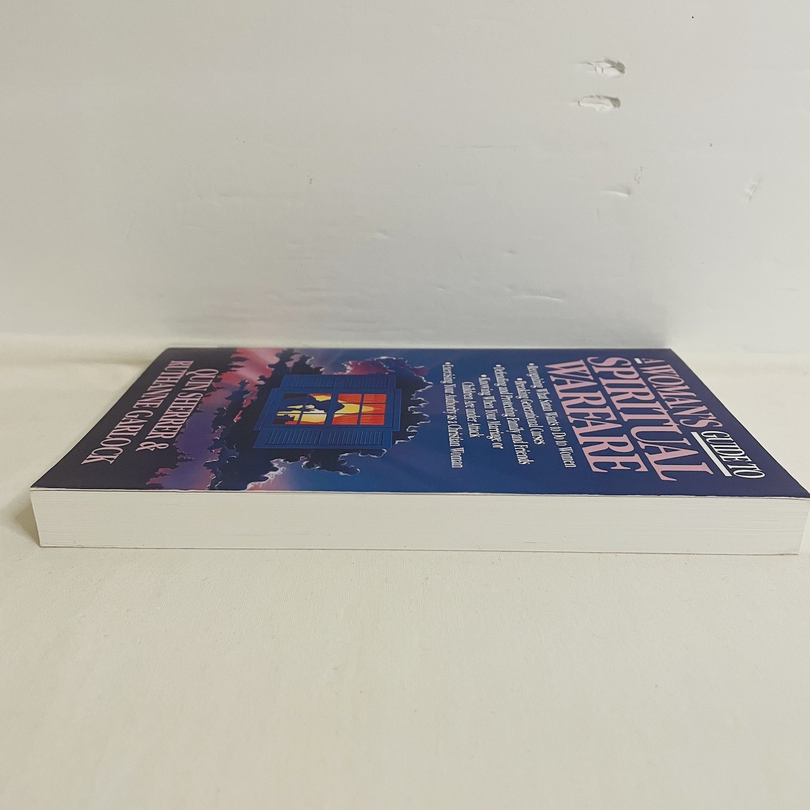 A Woman’s Guide To Spiritual Warfare Quin Sherrer & Ruthanne Garlock Paperback