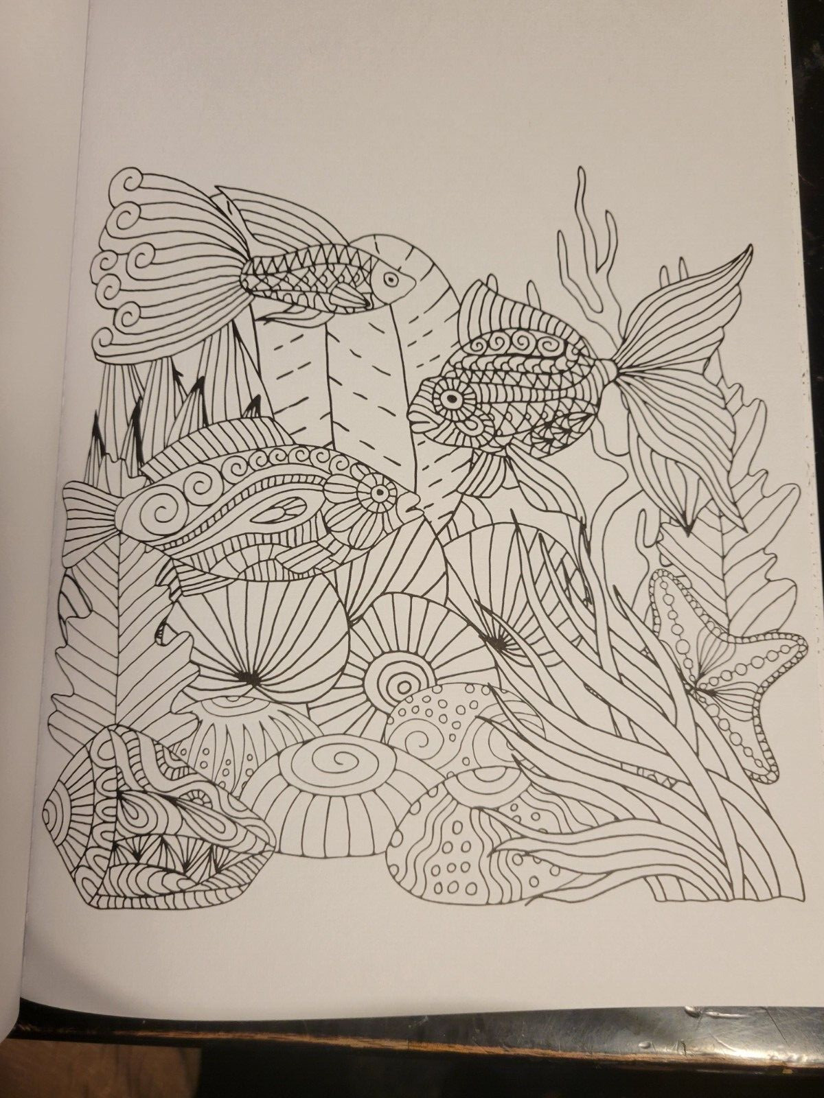 MAJESTIC CREATURES Vol 13 Adult Coloring Book With 47 Prints Ready To Frame