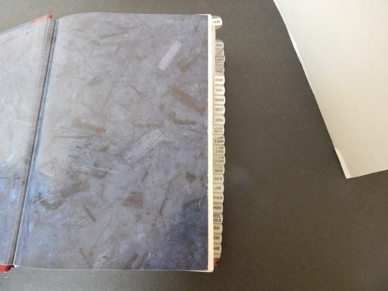 Woman’s Study Bible NKJV by Thomas Nelson Pub. (HBDJ 1995)