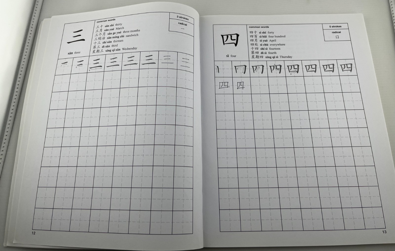 The First 100 Chinese Characters: Simplified Character Edition – Some writing
