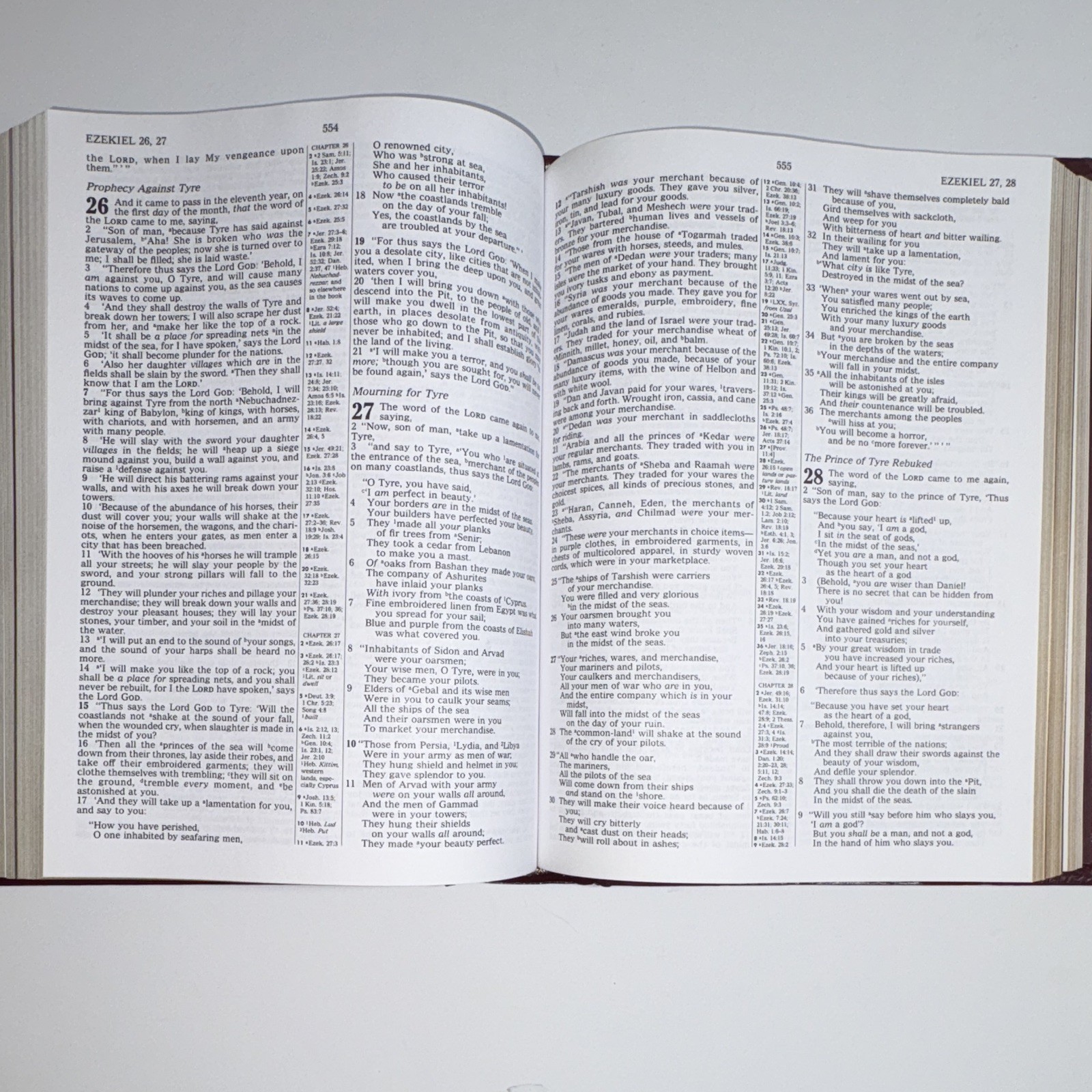 Thomas Kinkade Holy Bible Lighting the Way Home NKJV Red Letter Hardcover
