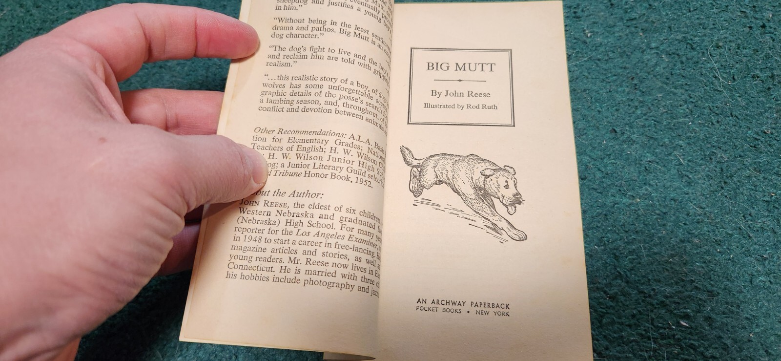 1973 BIG MUTT John Reese Illustrated Rod Ruth Archway Paperback