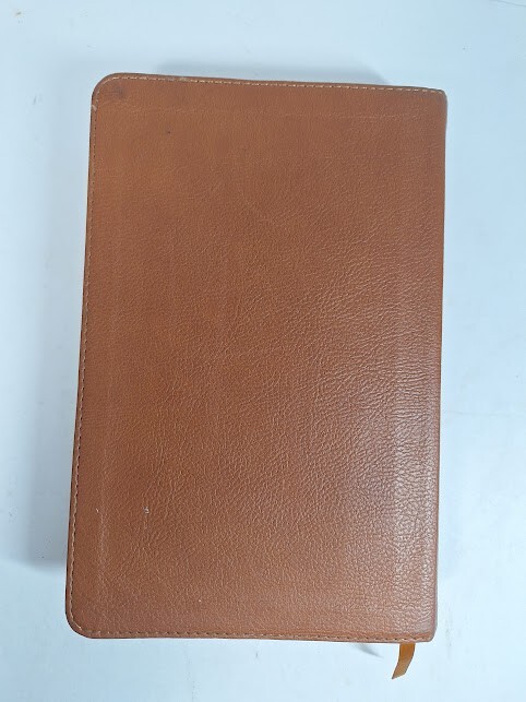 Holman Bible Christian Standard Version Children’s Lion King Cover Color Maps
