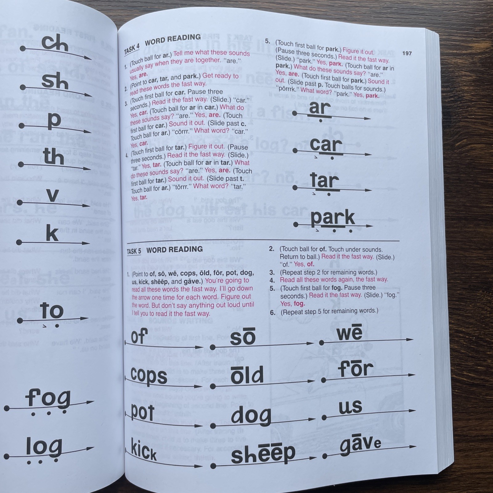 Teach Your Child to Read in 100 Easy Lessons Homeschool PB Simon & Schuster