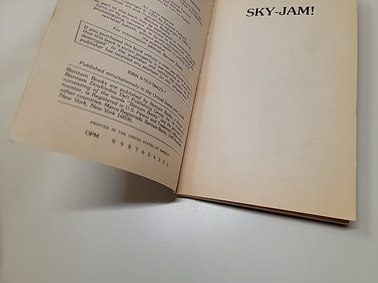 SKY-JAM! Choose Your Own Adventure book 158 Packard 1995 1st printing paperback