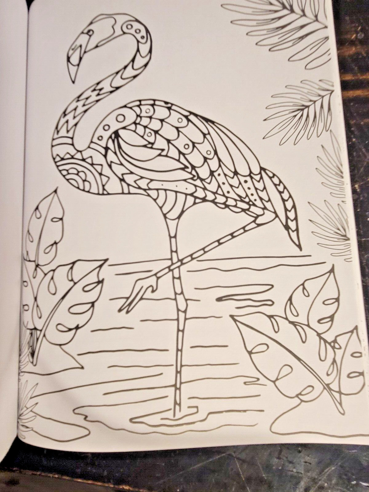 COLORS OF THE WILD! Vol. 18 Adult Coloring Book With 47 Prints Ready To Frame!