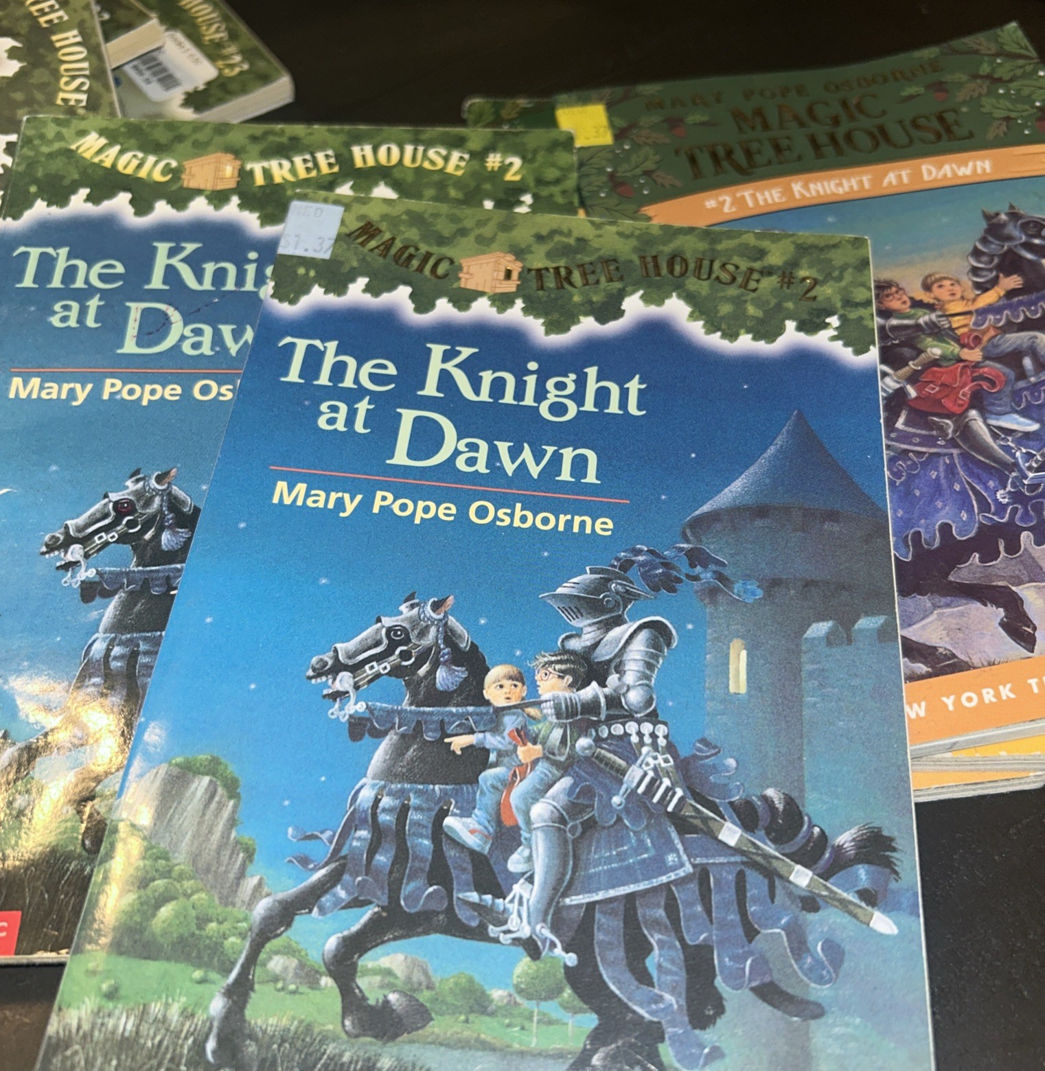 Guided Reading 5 Book Set Of The Knight At Dawn