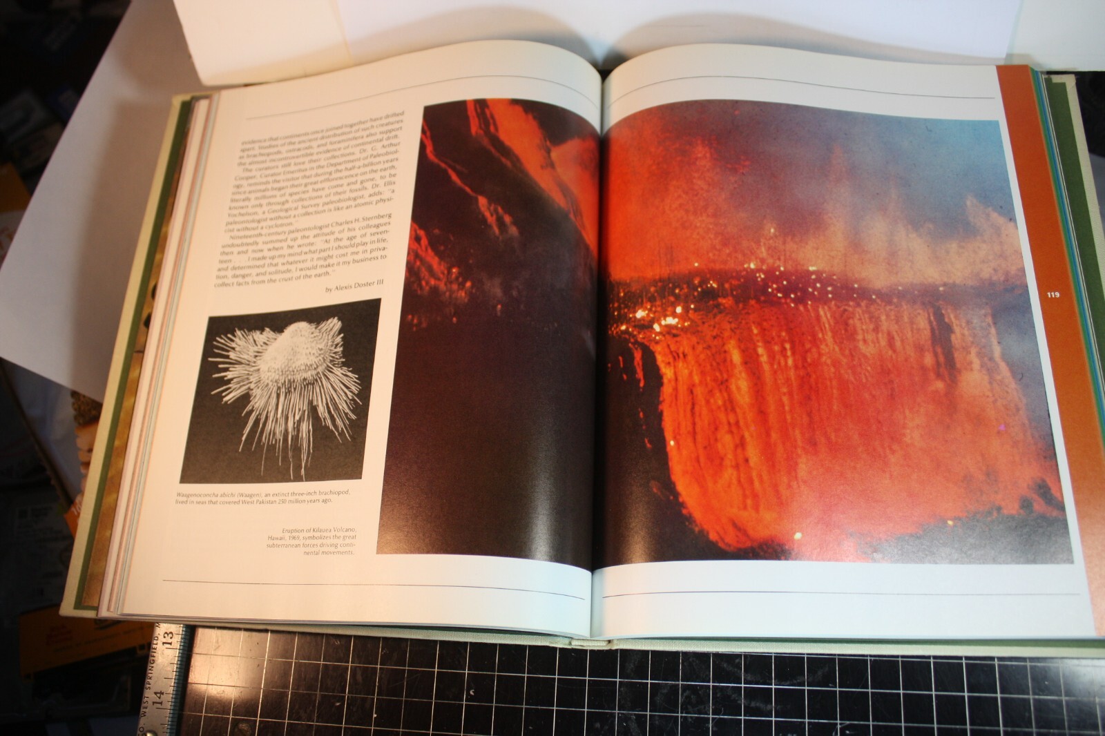 The Smithsonian Experience by The Smithsonian Institution 1977 256 pgs (080864)
