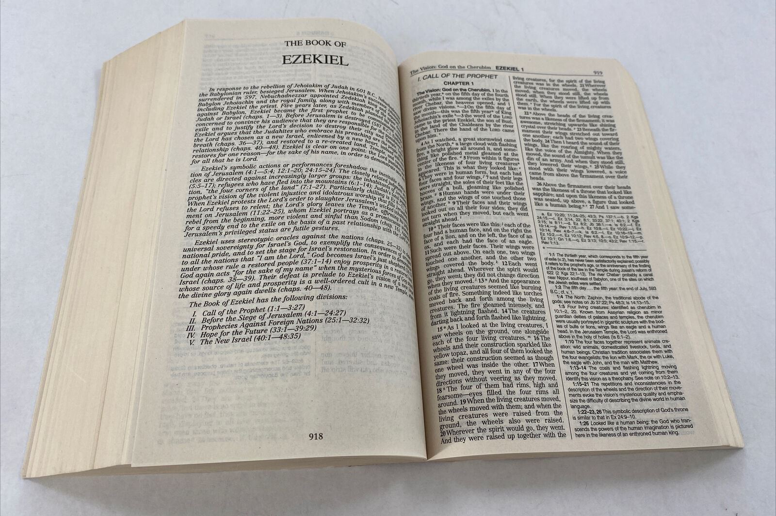 The New American Bible Revised Edition World Catholic Press 2010