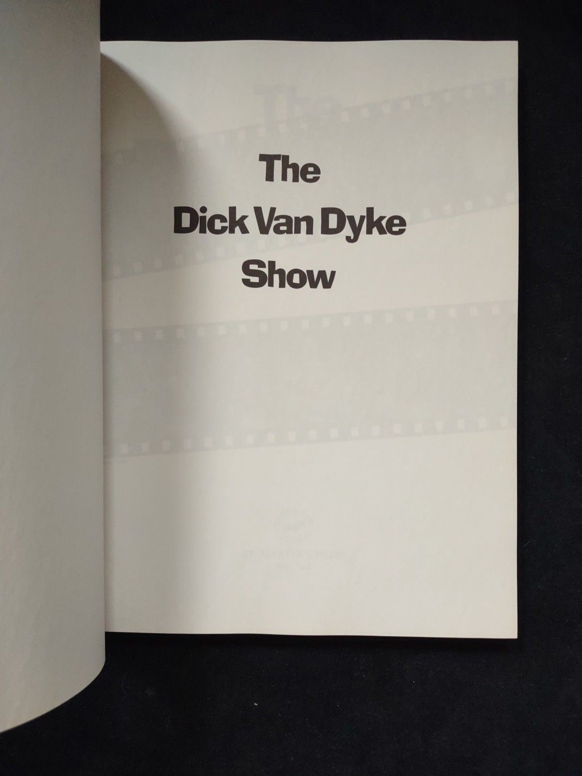 THE DICK VAN DYKE SHOW Ultimate Fan Guide Softcover Book Beautiful New Condition