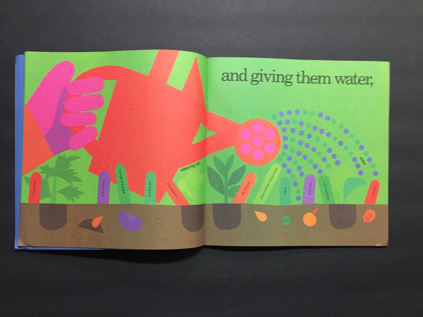The King Who Rained by Fred Gwynne/Growing Vegetable Soup/Shapes/Numbers