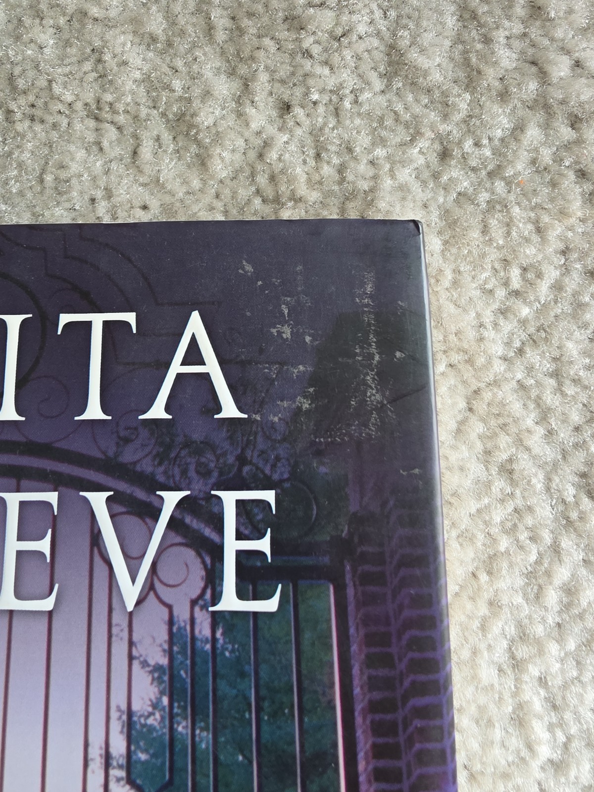 Testimony First Edition Anita Shreve