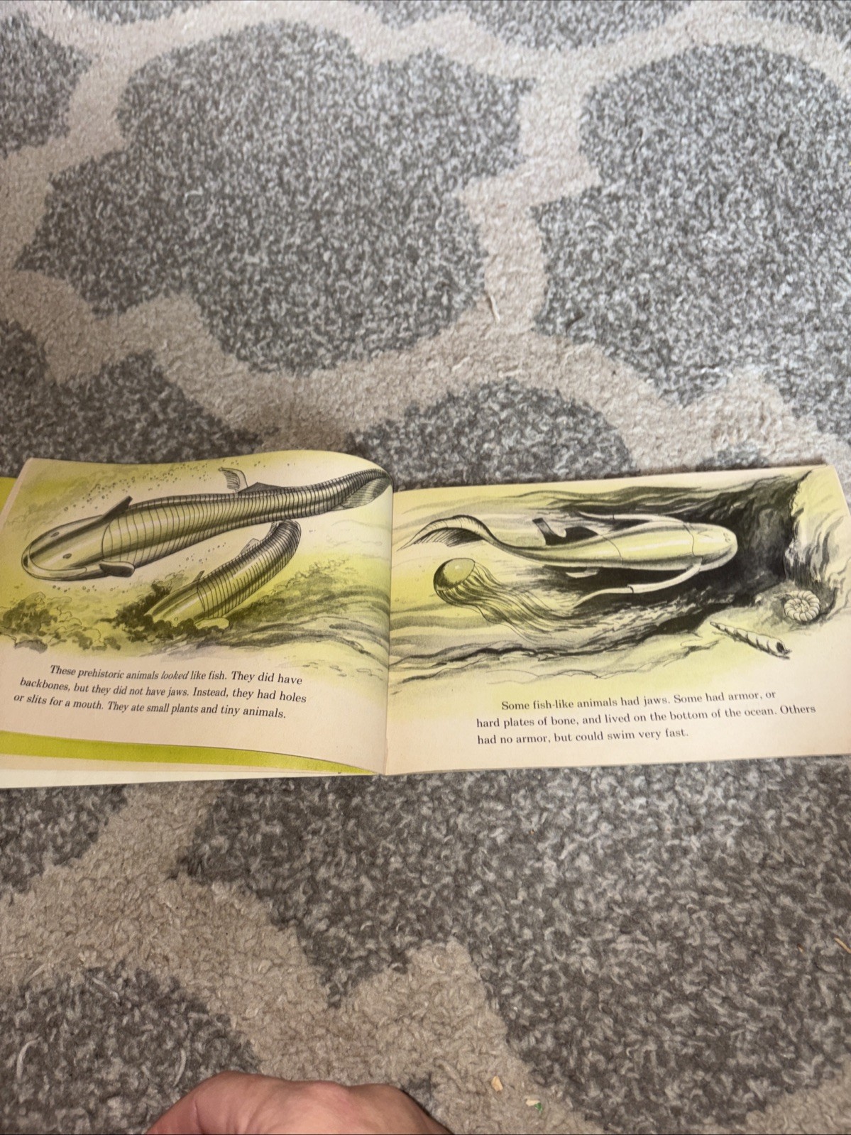 Vintage 1977 Troll Book Club I Can Read About Prehistoric Animals