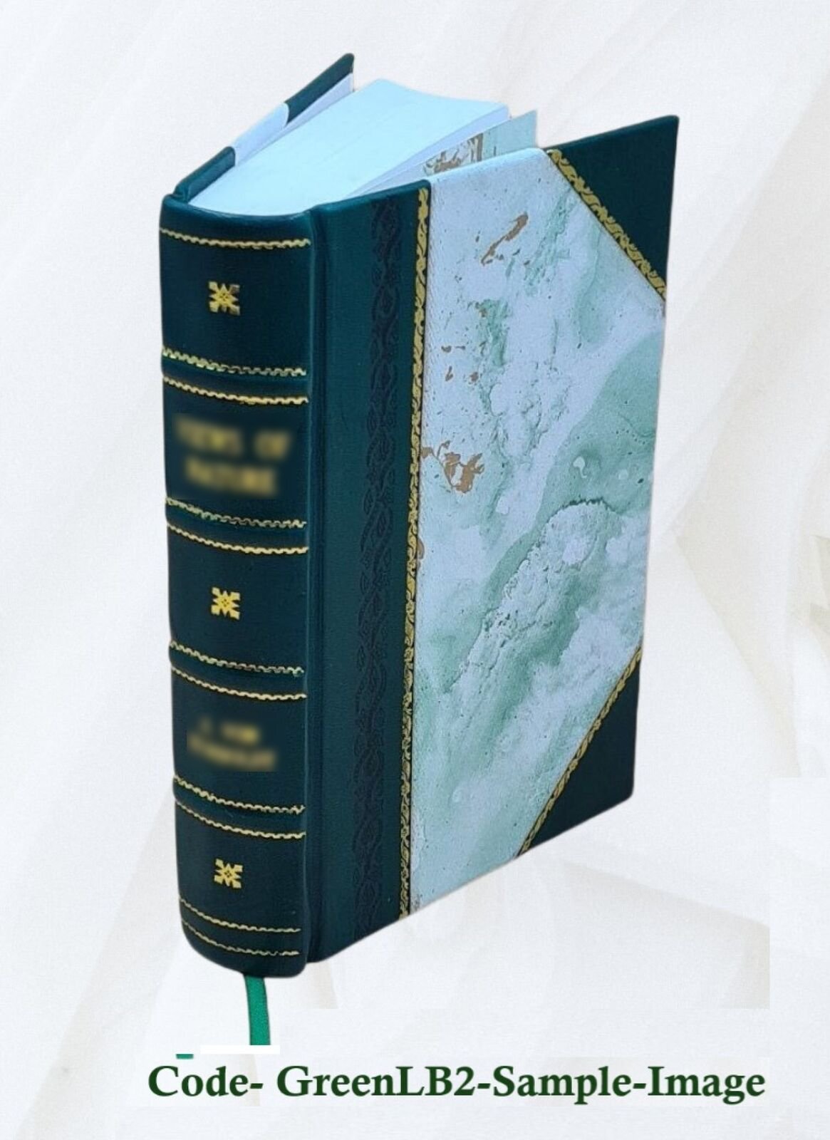 The Geographical Journal. V.53 No.1-6 1919. Volume 53,No.1-6 191 [Leather Bound]
