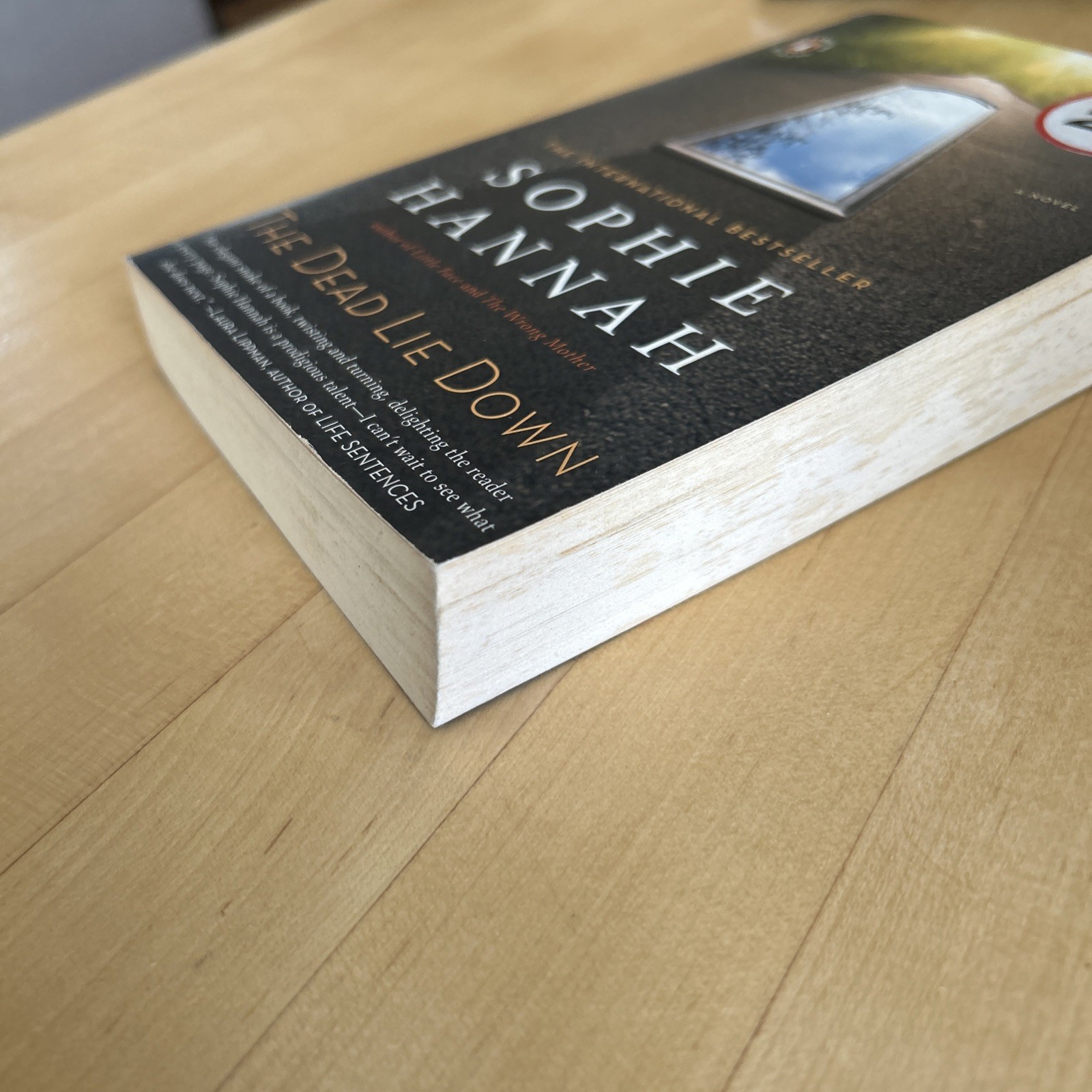 Dead Lie Down : A Zailer and Waterhouse Mystery by Sophie Hannah (2010, Uk-B…