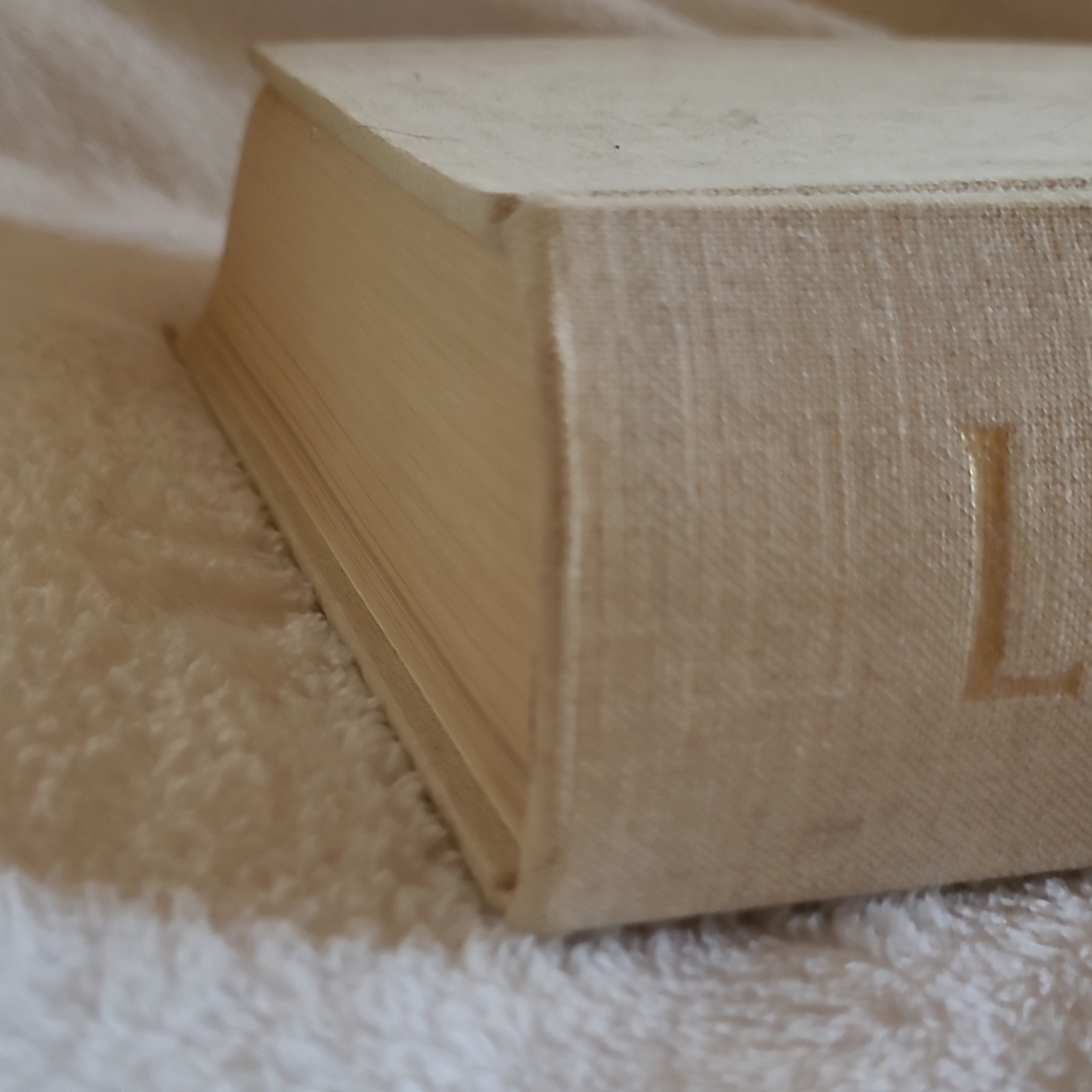Leonardo Da Vinci Illustrated Hardcover Picture Book Reynal & Company 1956