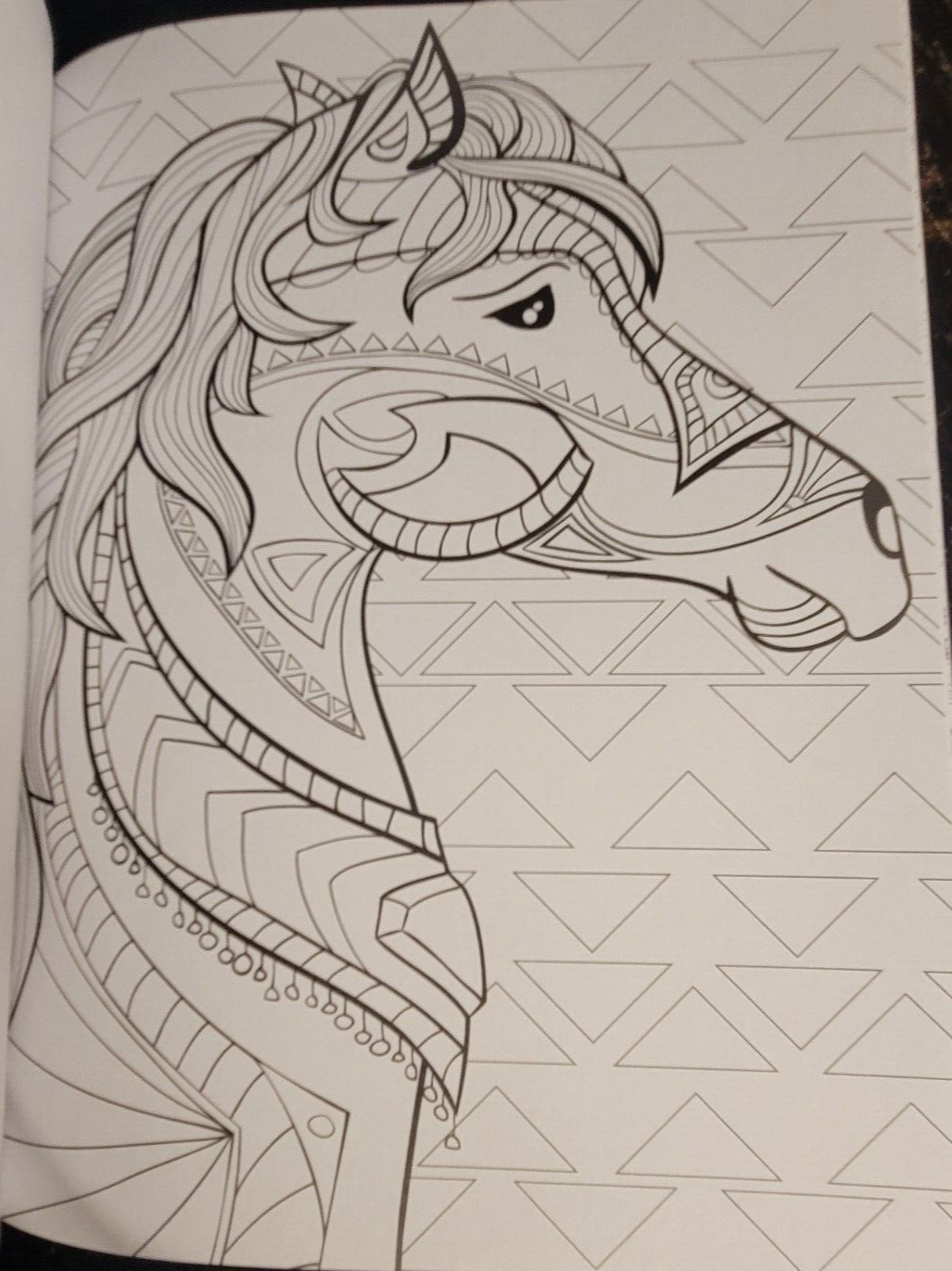 COLORS OF THE WILD Vol. 21 Adult Coloring Book With 47 Prints Ready To Frame!