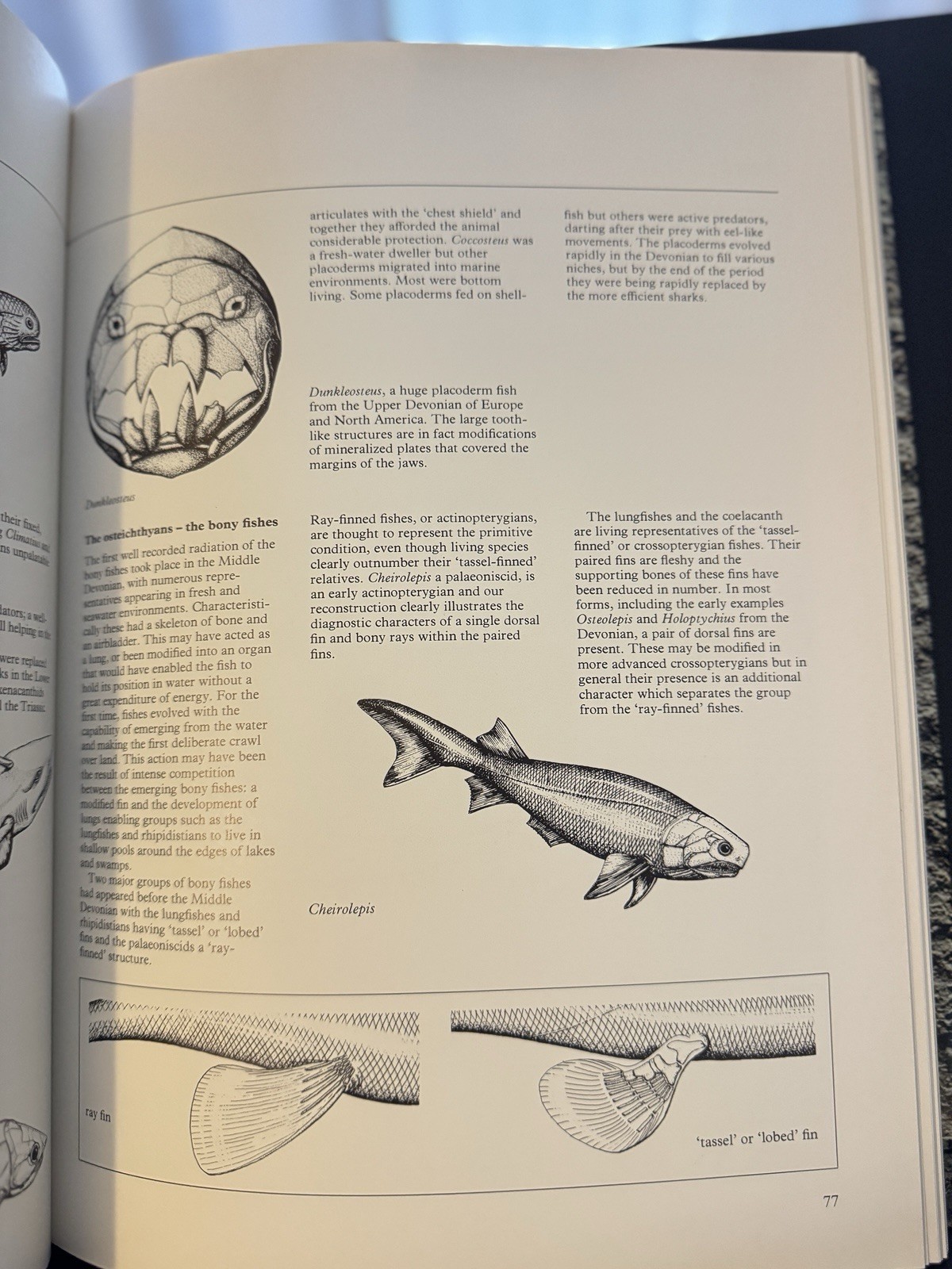Prehistoric World | by Richard Moody | 1980 HC/DJ | Paleontology | Dinosaur