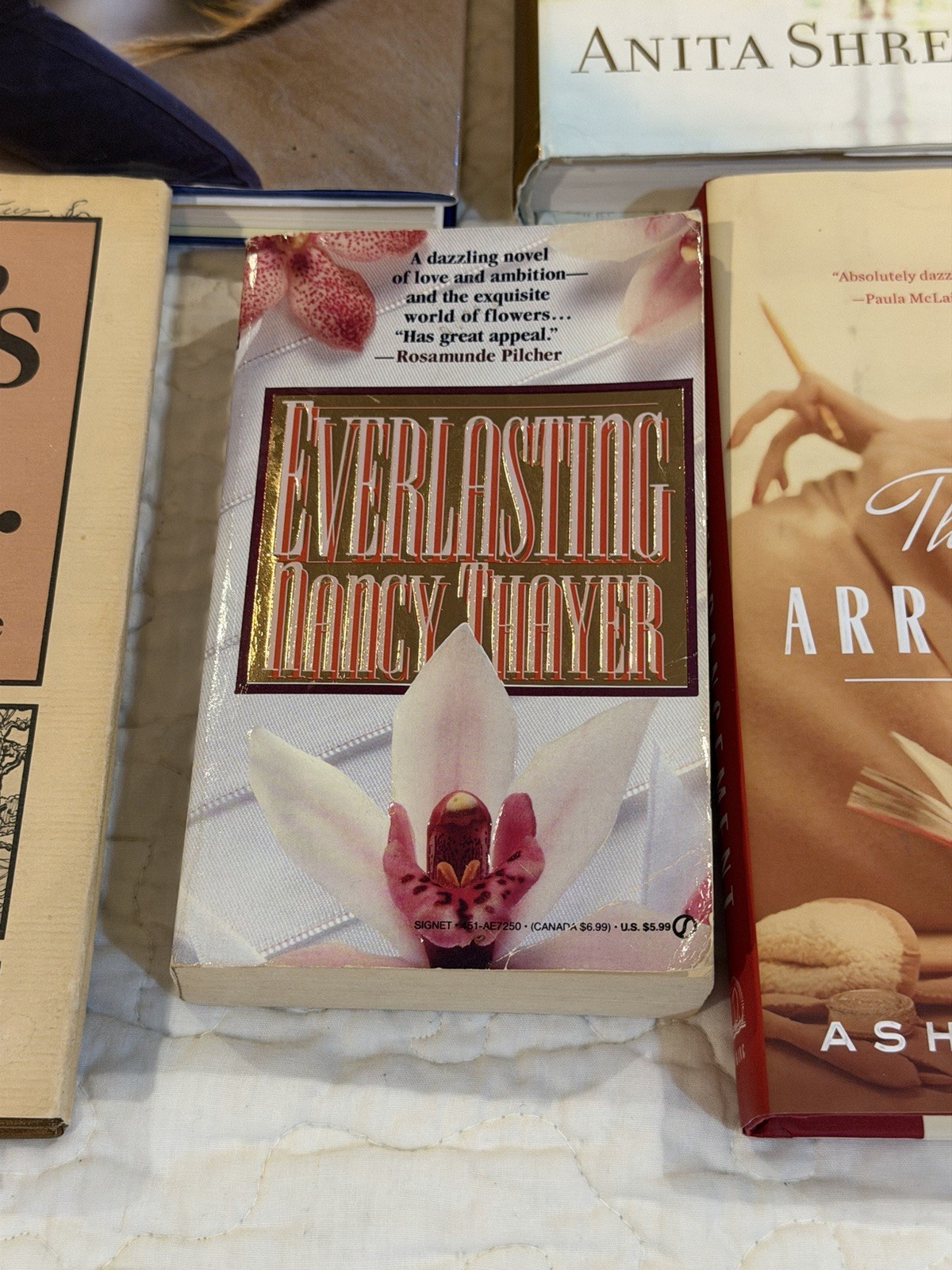 Fiction Book Lot 5 Anita Shreve Jewel Ashley Warlick Mixed Novels