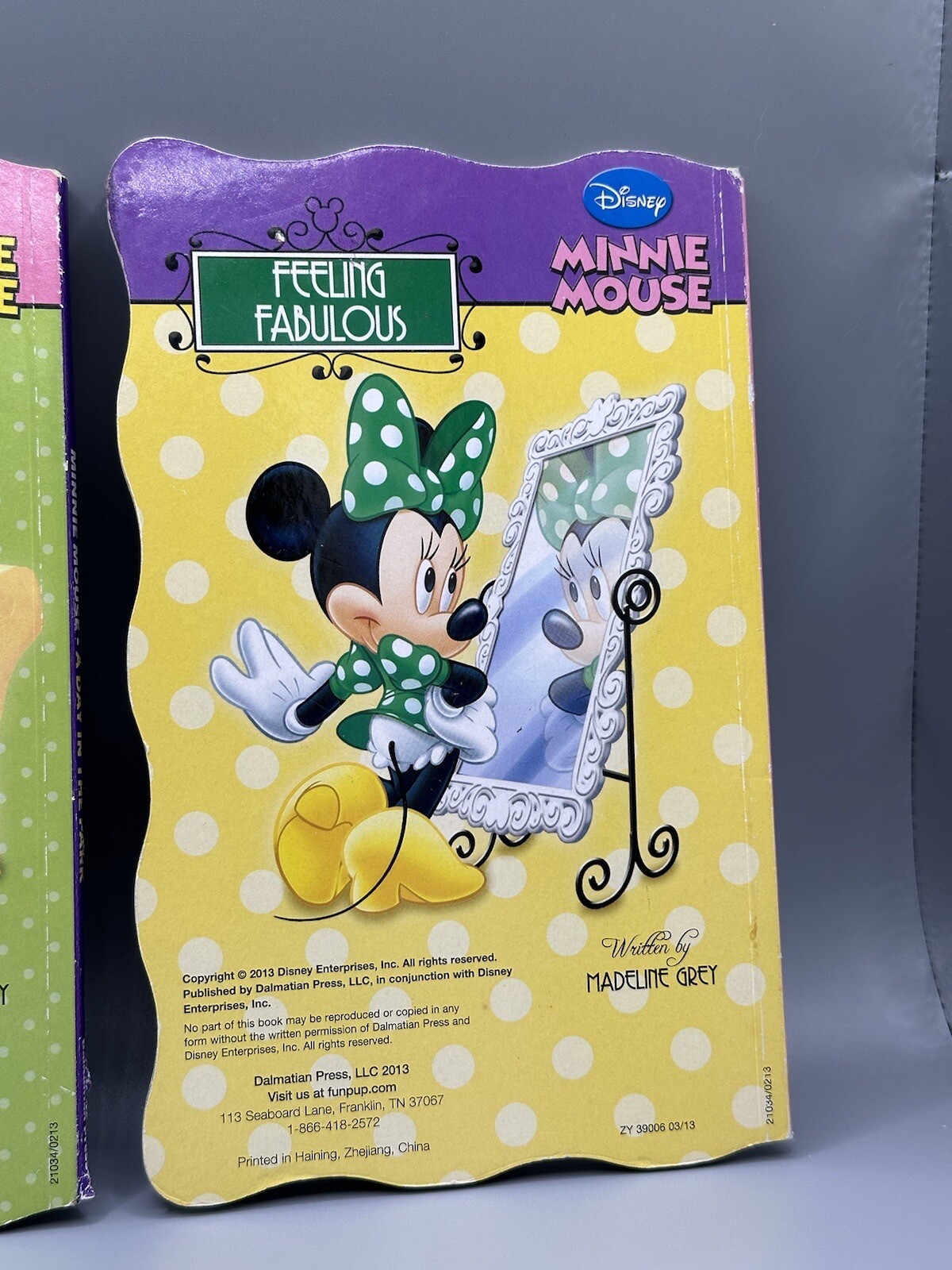 Disney Minnie Mouse Lot Of 2 Book 2013 Feeling Fabulous Day In The Park READ