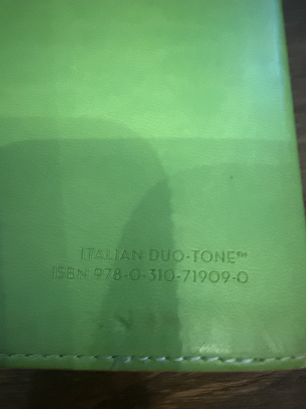 Veggie Tales Leather Bible Leather