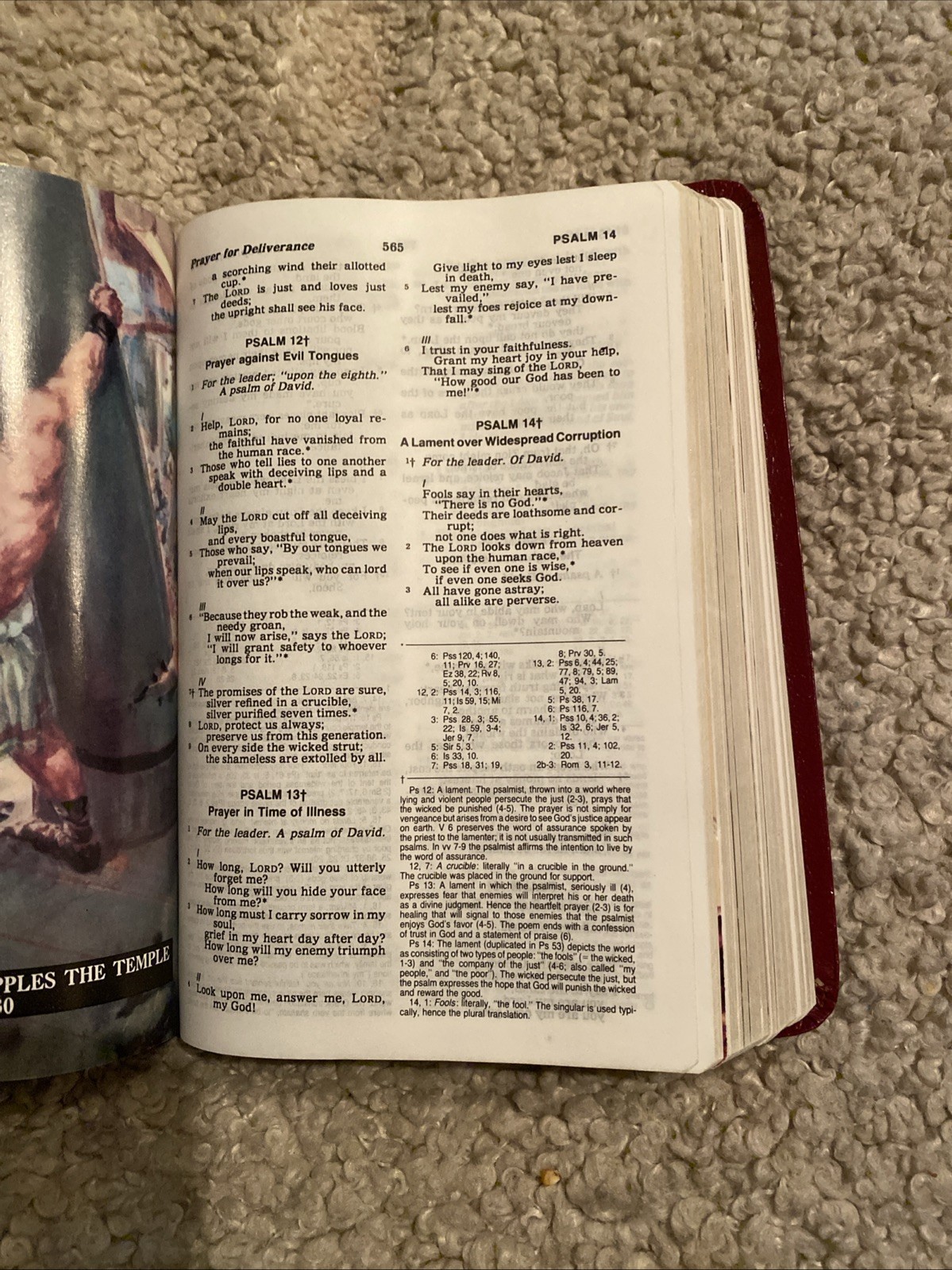 New American Bible Holy Bible Catholic Bible Press 1987