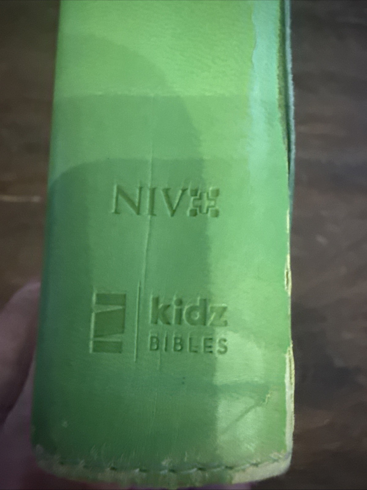 Veggie Tales Leather Bible Leather