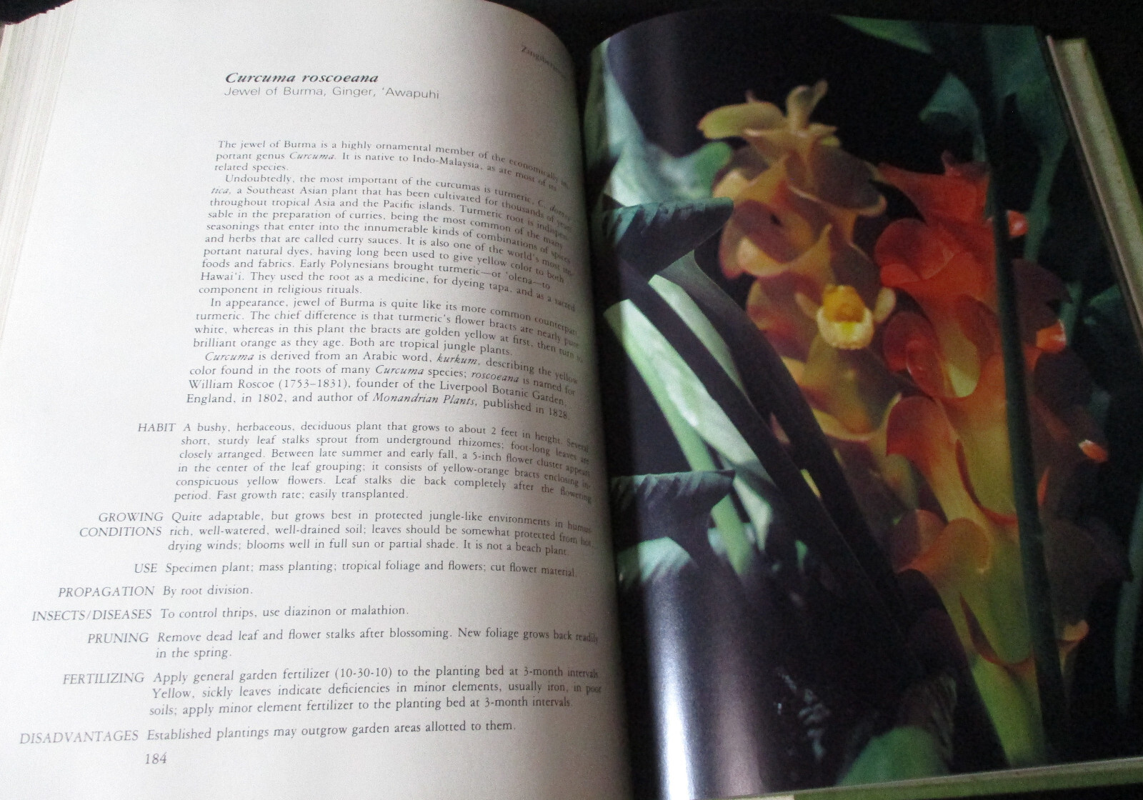 HAWAII GARDEN TROPICAL EXOTICS Horace Clay SIGNED HC 1ST 1977 Gardening Plants