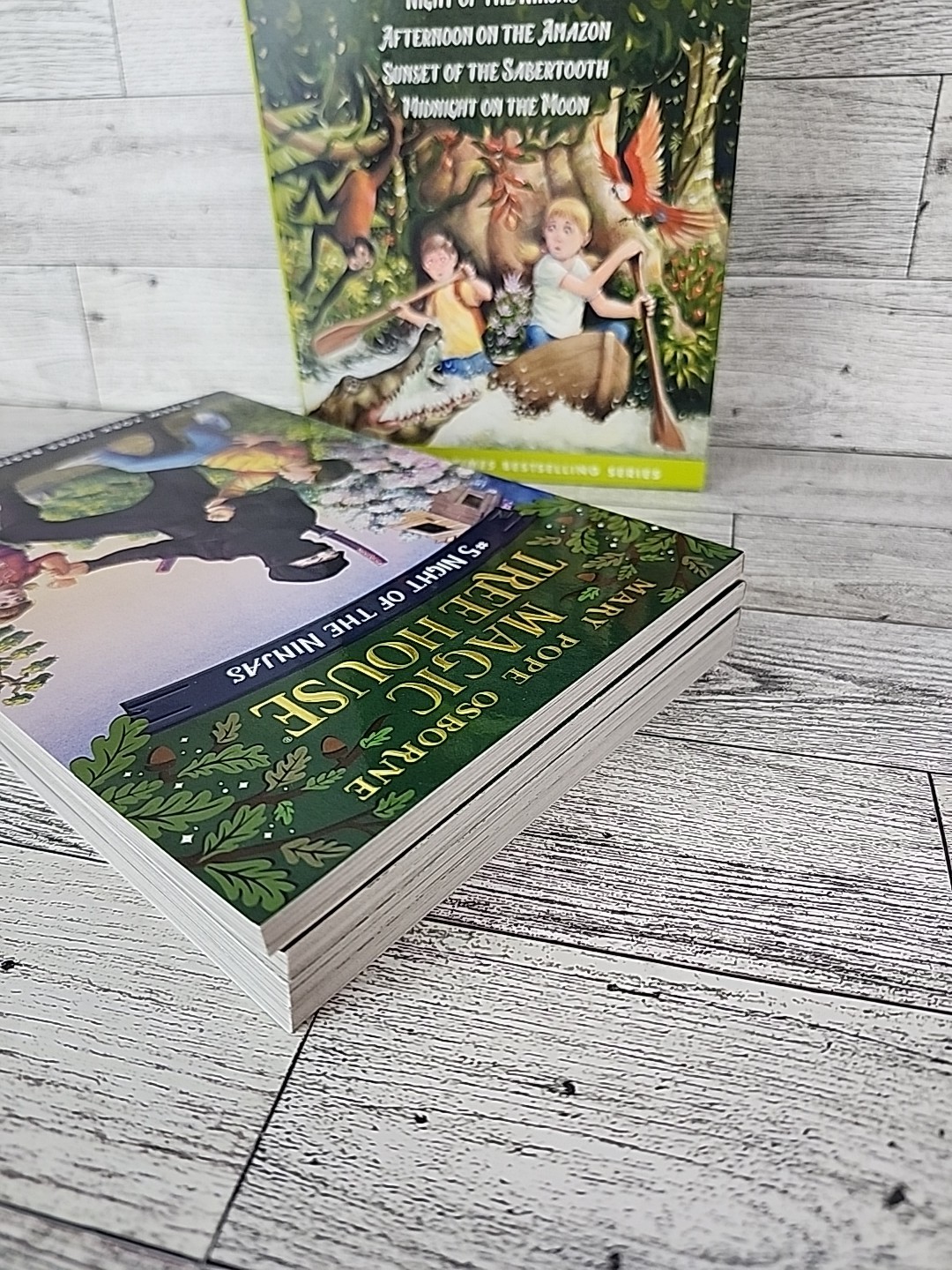 Magic Tree House Boxed Set, Books 5-8 Paperbacks Like New