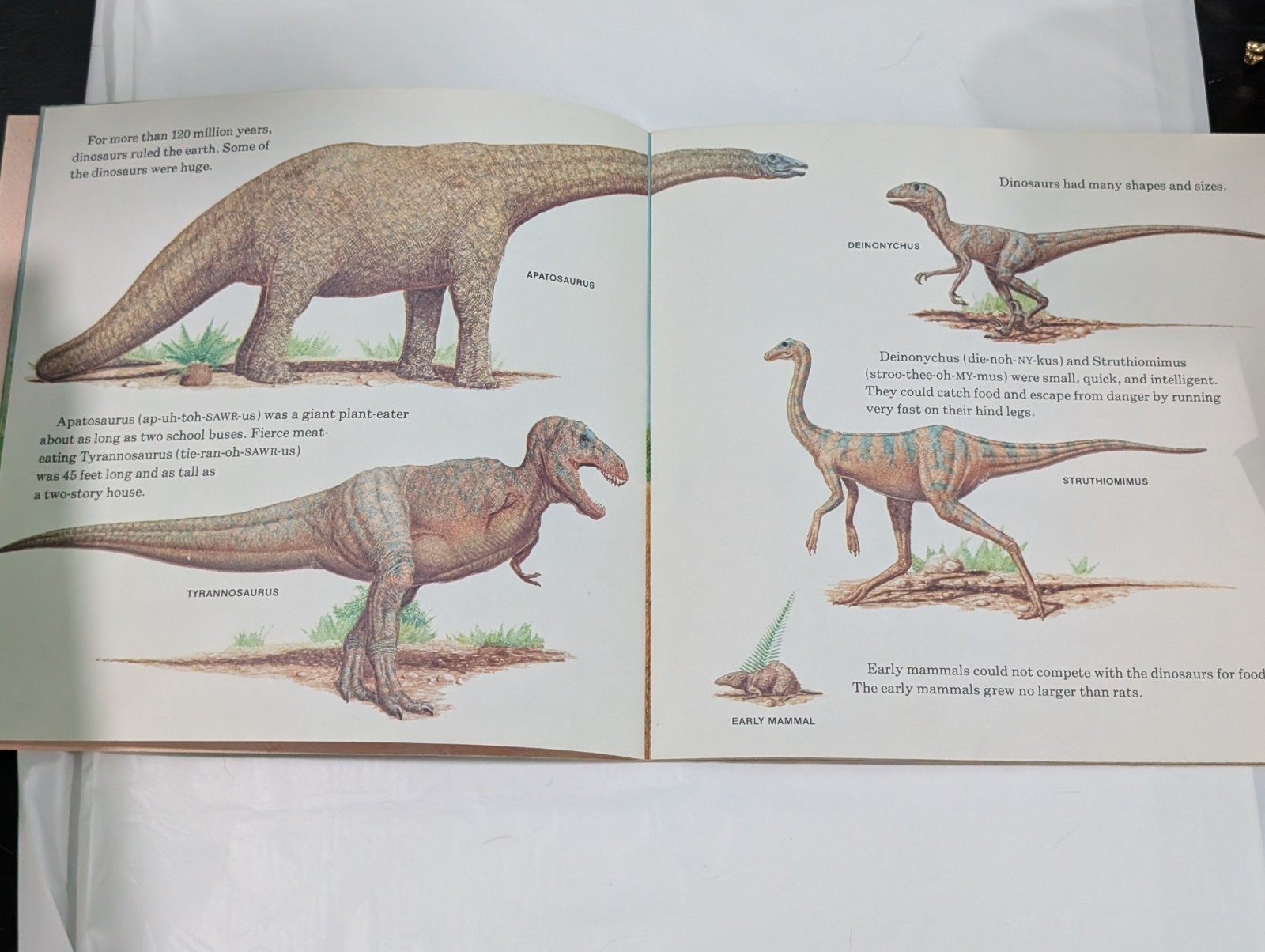 Vintage Children’s Book Lot (5) Trucks Trains Dinosaurs Cat McDs Xmas 1970s–1990