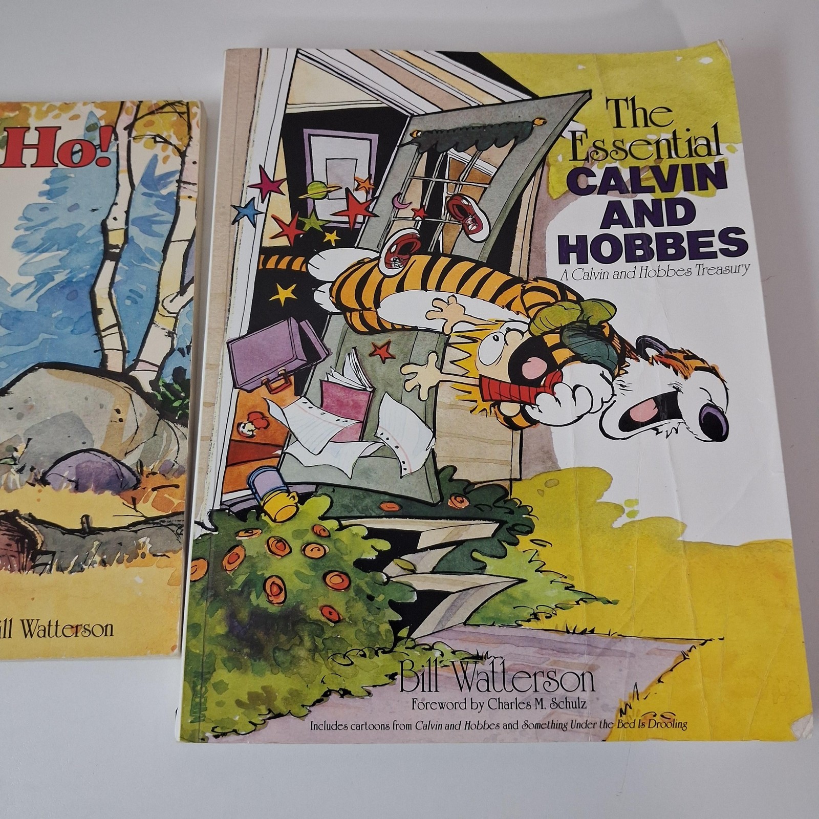 Calvin And Hobbes Books Lot 2 Yukon Ho Essential PB Bill Watterson Comics Humor