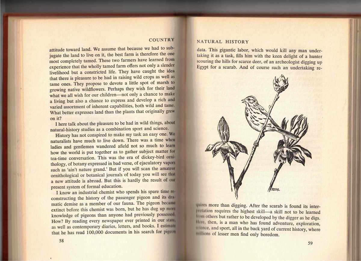 Round River From the Journals of Aldo Leopold