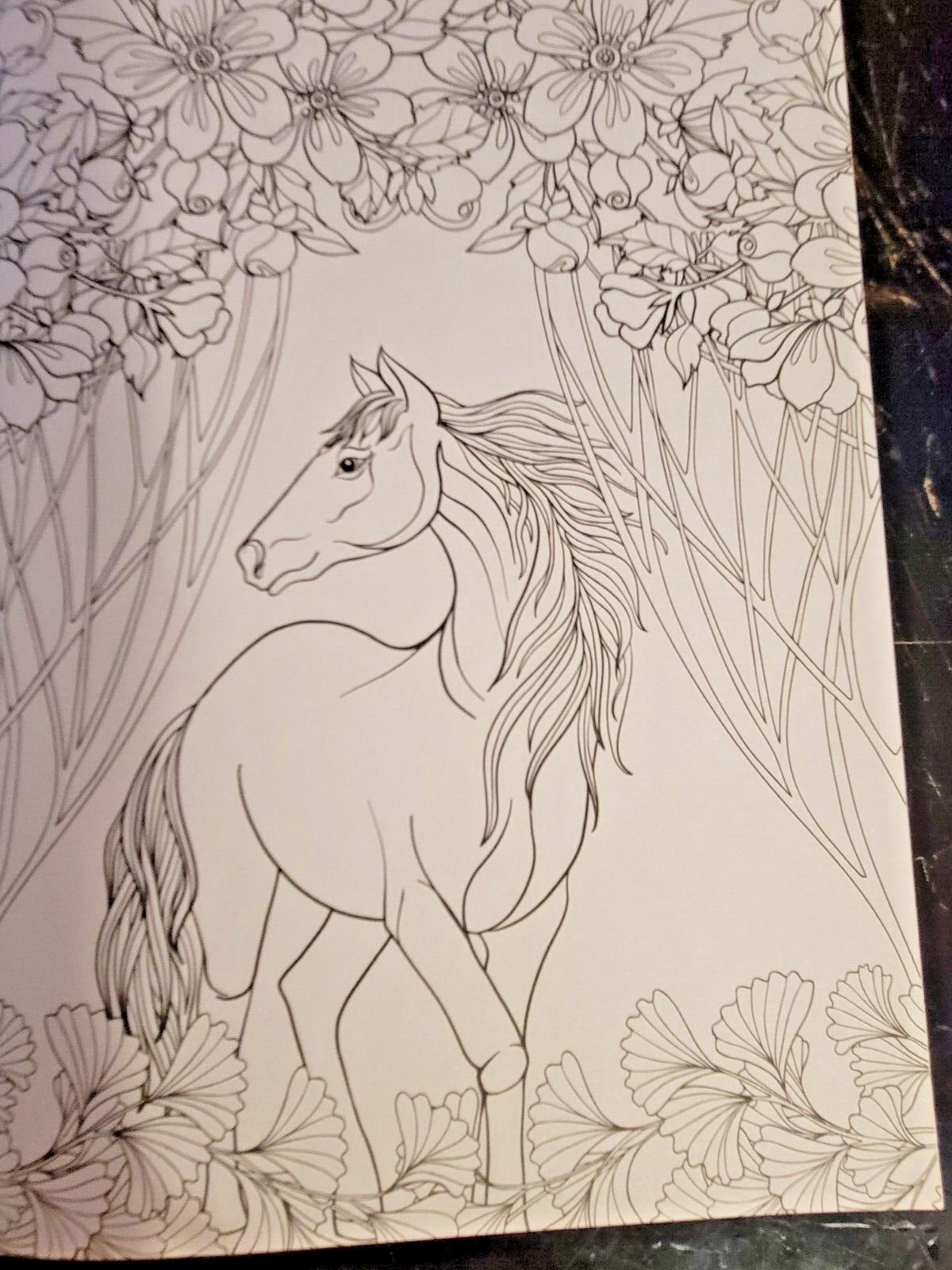 COLORS OF THE WILD Vol. 23 Adult Coloring Book With 47 Prints Ready To Frame!