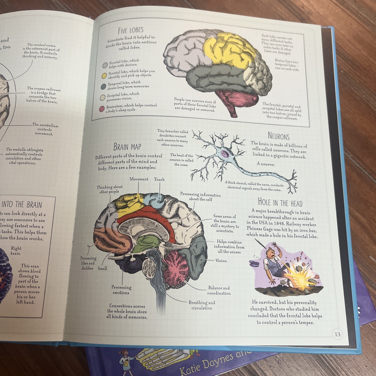 Lot Of 6 Inside Your Body Usborne Dover Coloring Book Set Human Children
