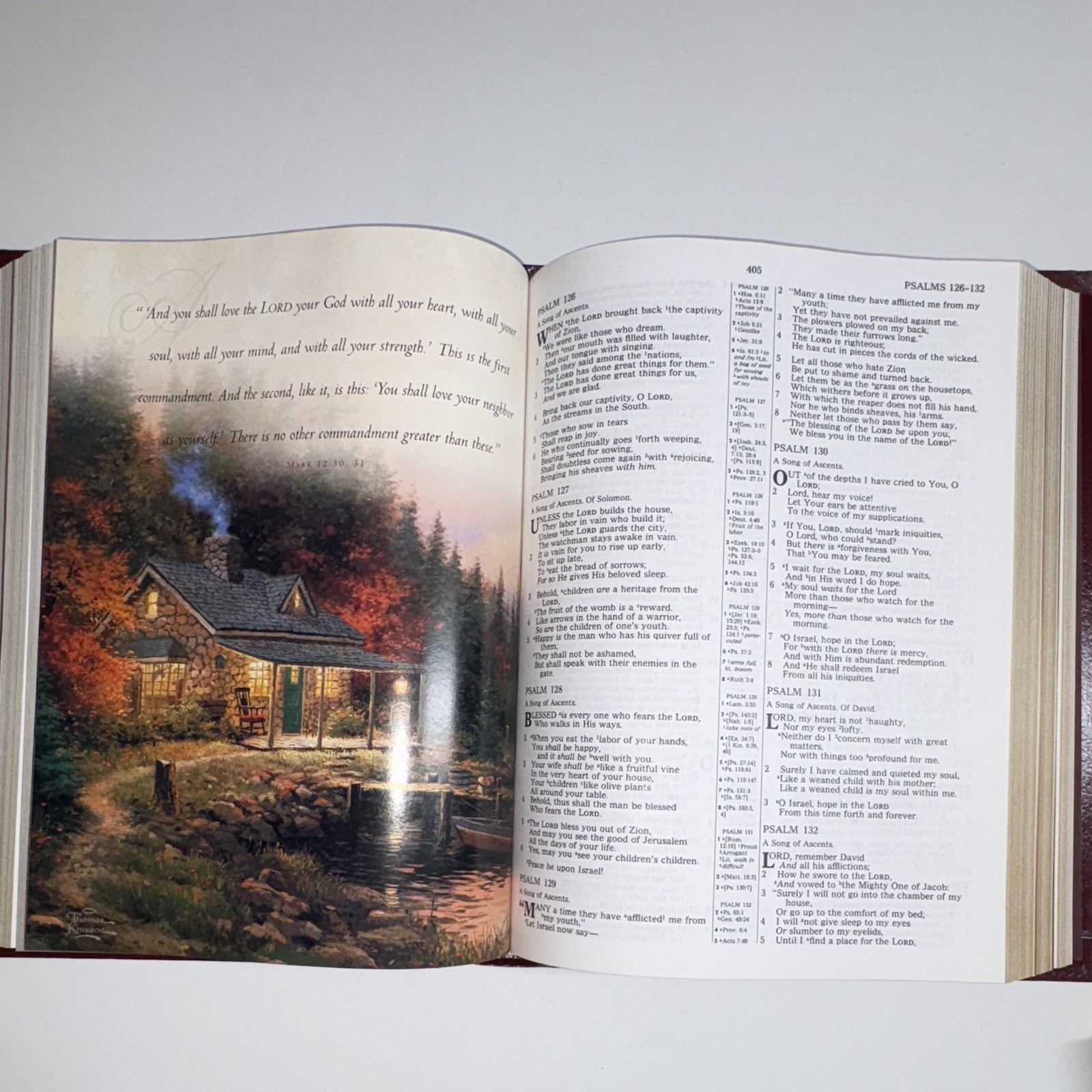 Thomas Kinkade Holy Bible Lighting the Way Home NKJV Red Letter Hardcover