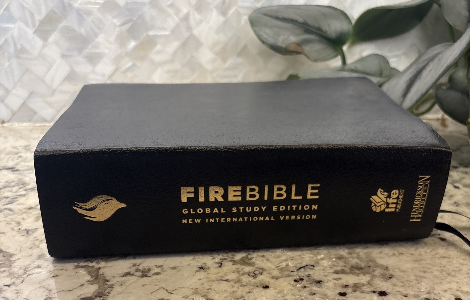 Fire Bible Global Study Edition New International Version Life Publishers 2009