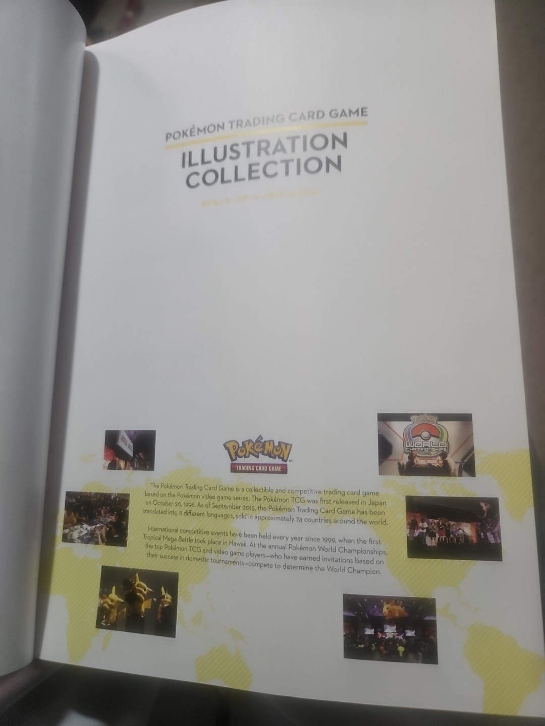 Pokemon Trading Card Game Illustration Collection Art Book (2016 Paperback)
