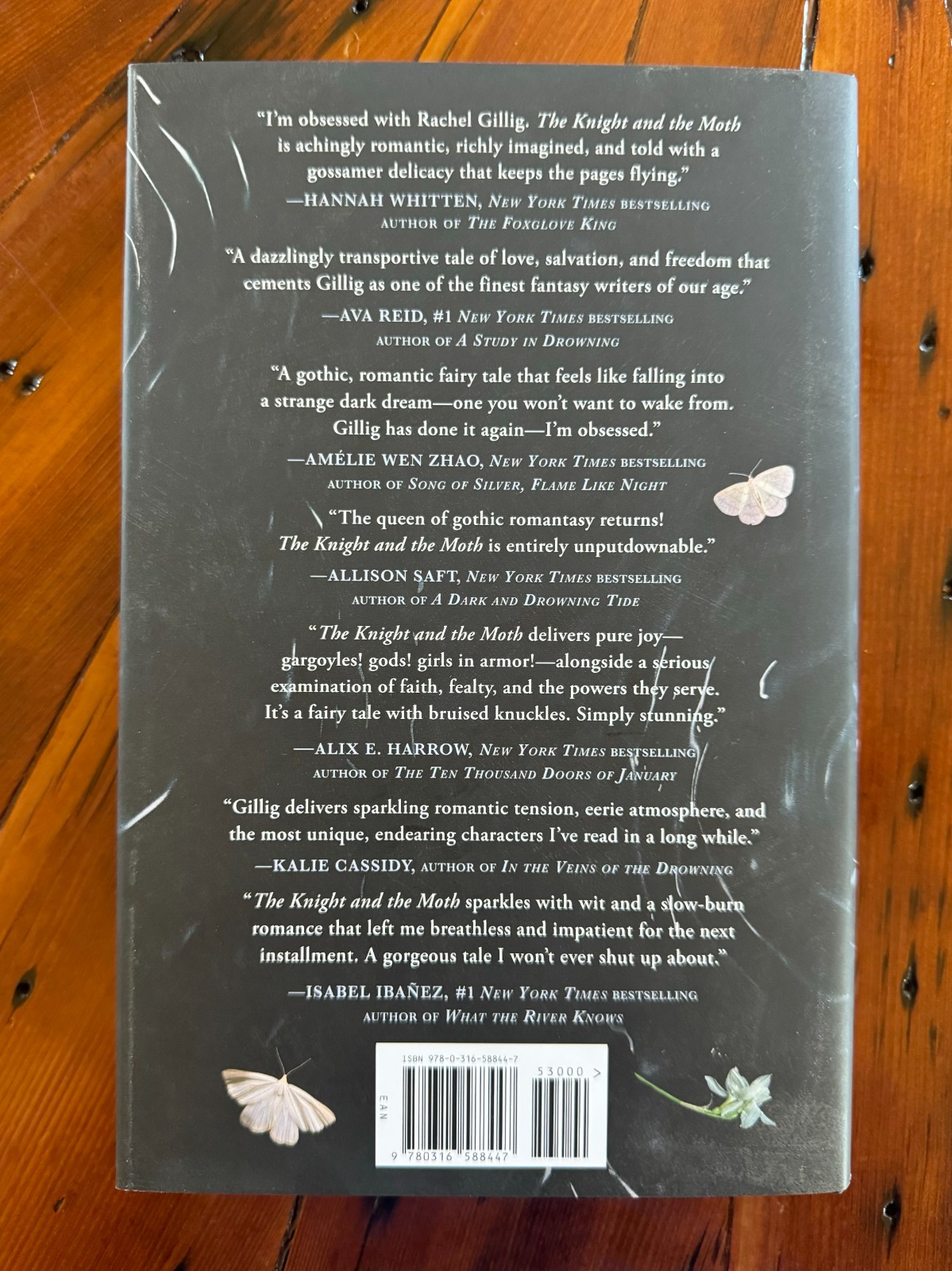 The Knight And The Moth By Rachel Gillig Barnes And Noble Exclusive NEW-UNSIGNED