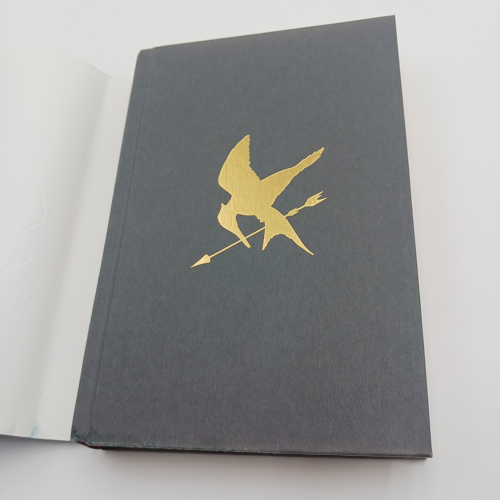 The HUNGER GAMES And CATCHING FIRE Books By Suzanne Collins