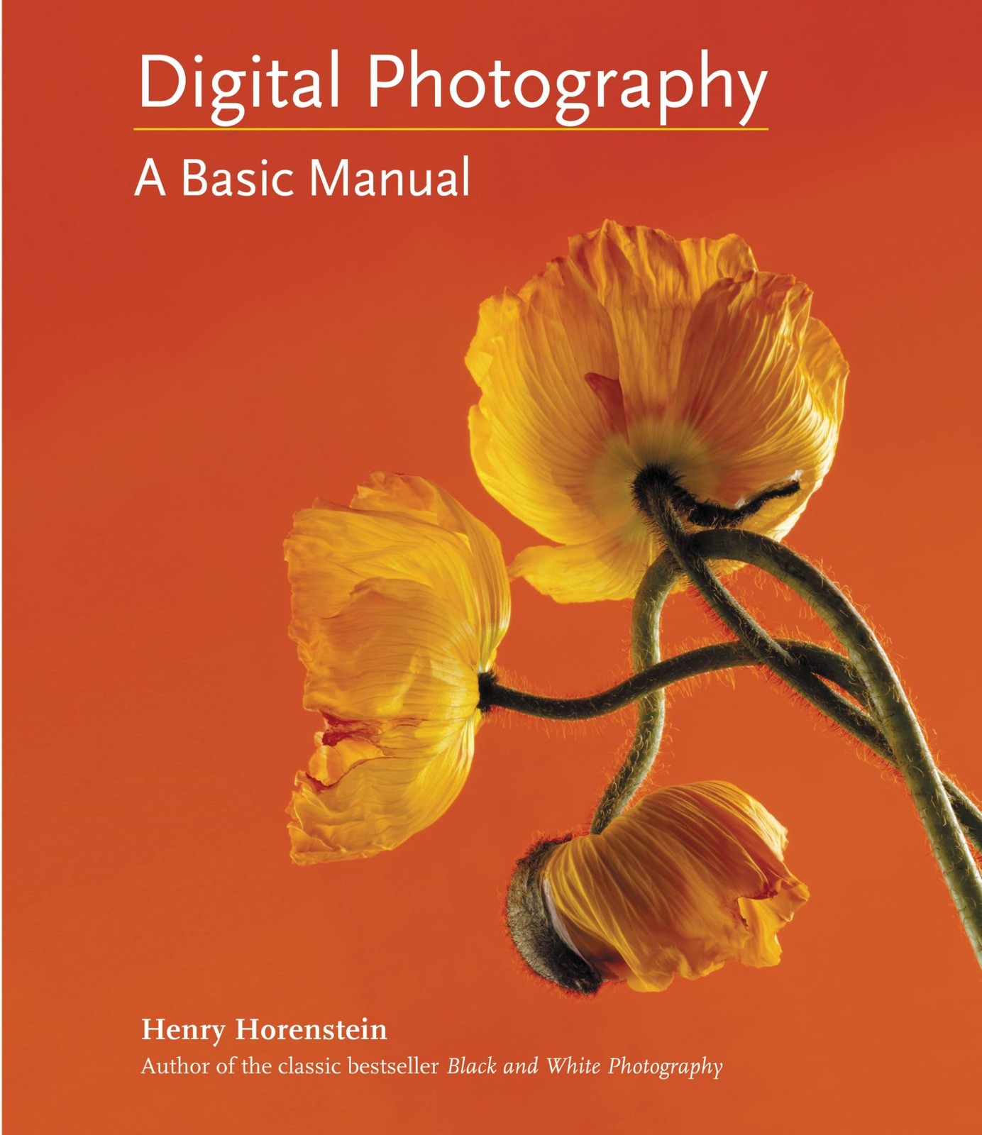 Digital Photography: A Basic Manual by Horenstein