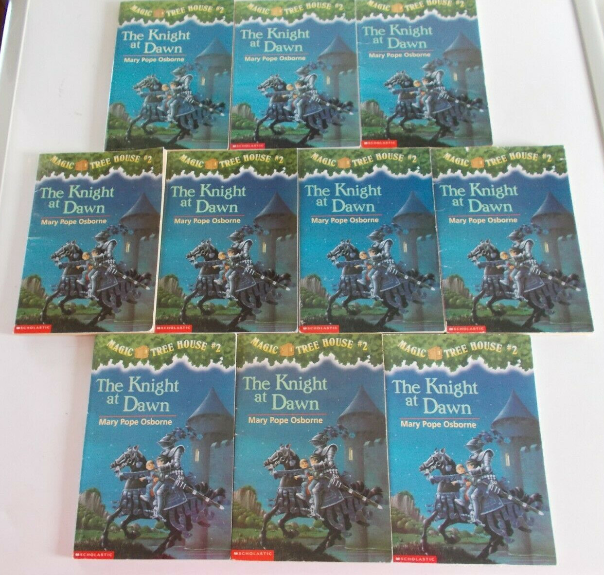 Lot of 10 Magic Tree House #2 The Knight at Dawn Guided Reading Teacher Class