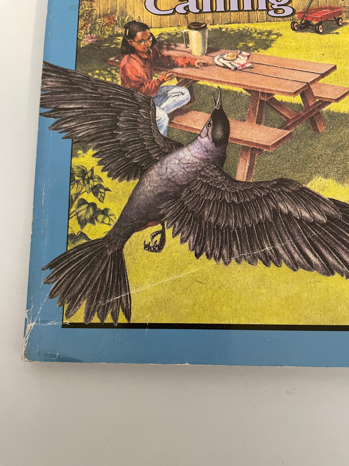 Highlights For Children Stories Chapter PB Books Lot of 38 Adventure Animals Etc