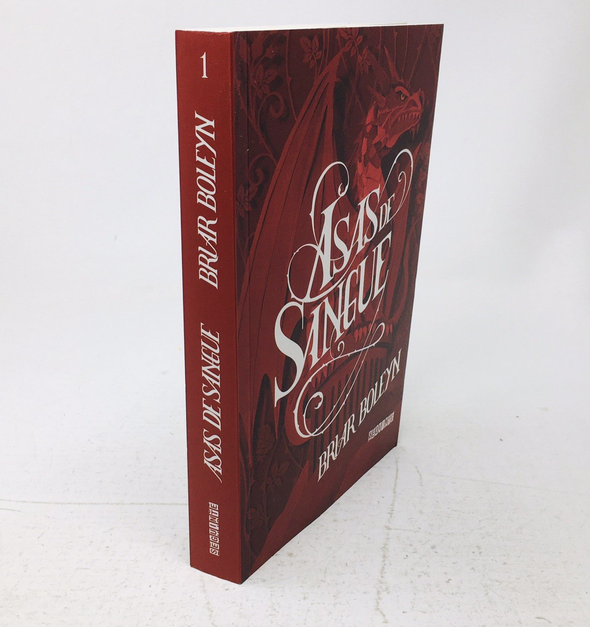 Asas de Sangue On Wings of Blood Briar Boleyn in Portuguese Lng YA Fantasy Vol 1