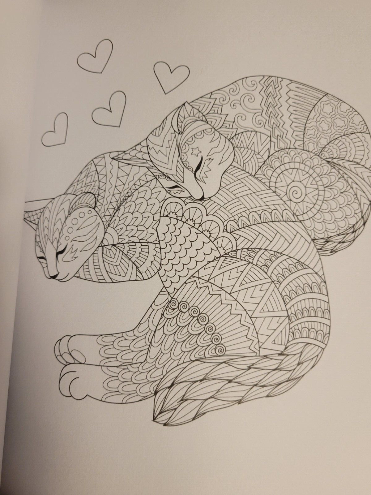 COLORING ANIMAL FRIENDS Vol 2 Adult Coloring Book With 47 Prints Ready To Frame