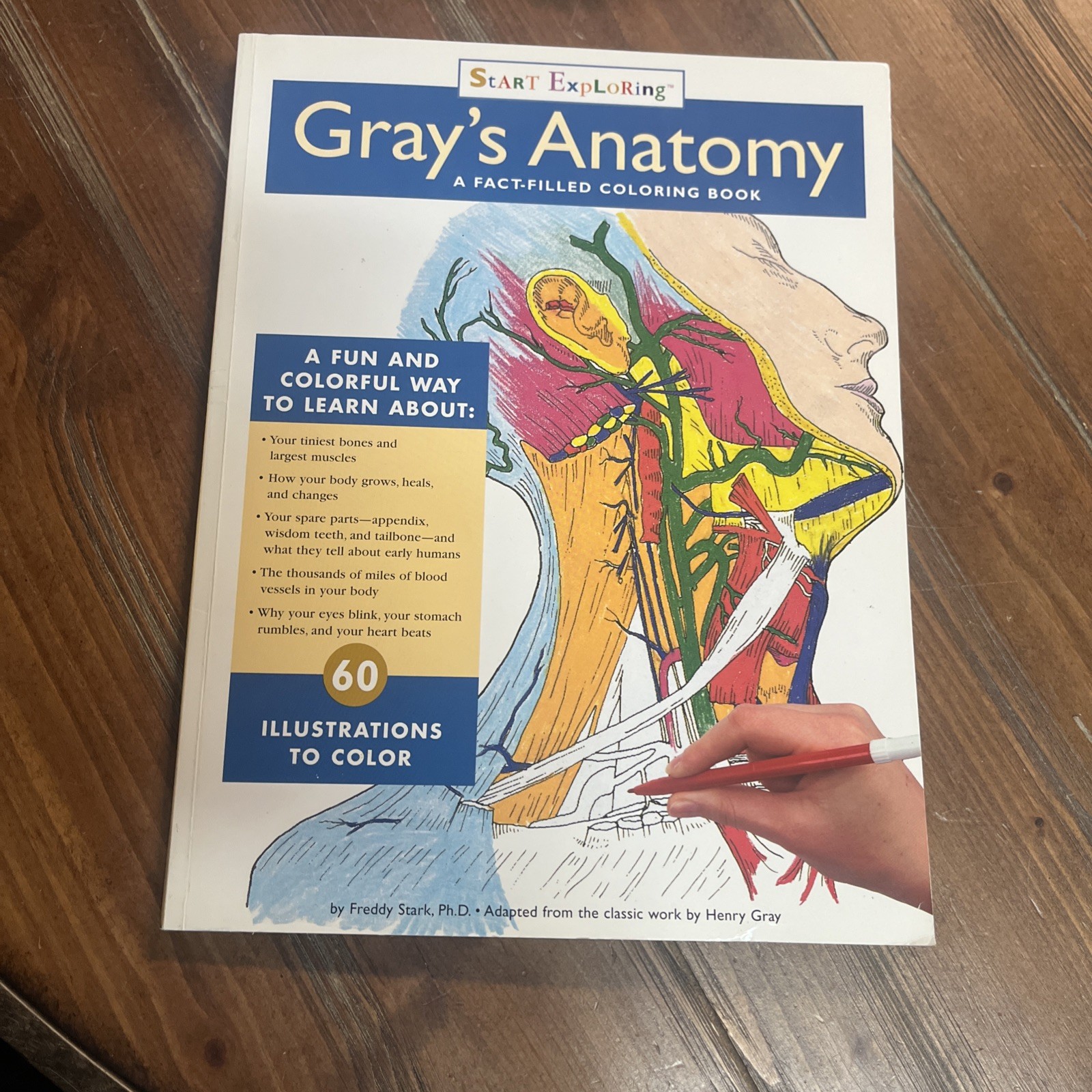 Lot Of 6 Inside Your Body Usborne Dover Coloring Book Set Human Children