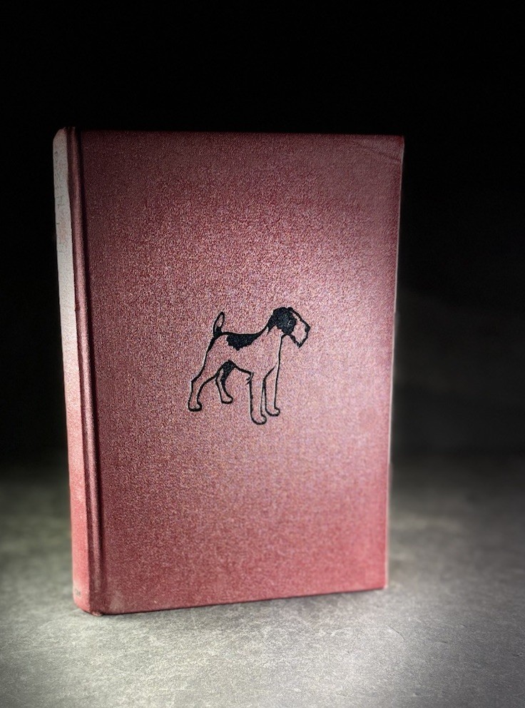 Rip Darcy Adventurer Jack O’Brien 1938 HC DJ John C Winston Illustrated