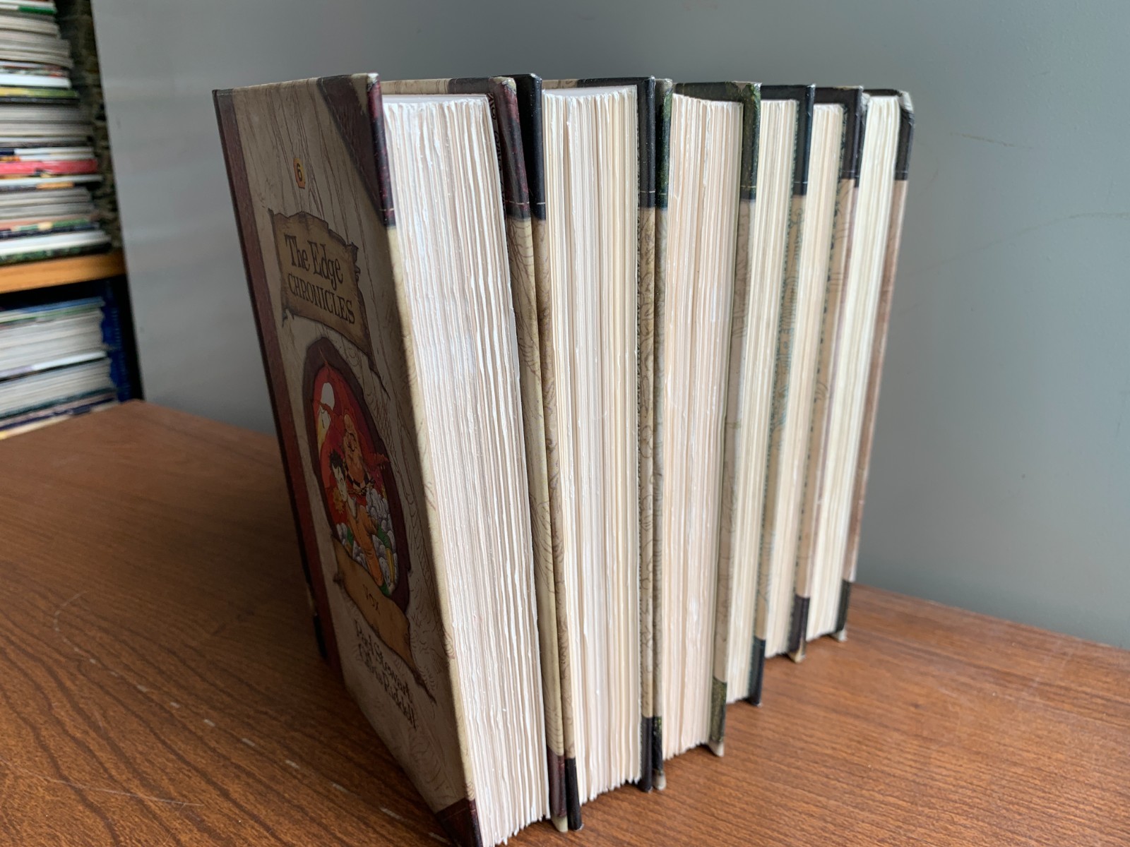 Complete Hardcover Set of The Edge Chronicles 1-6 Paul Stewart Chris Riddell Lot