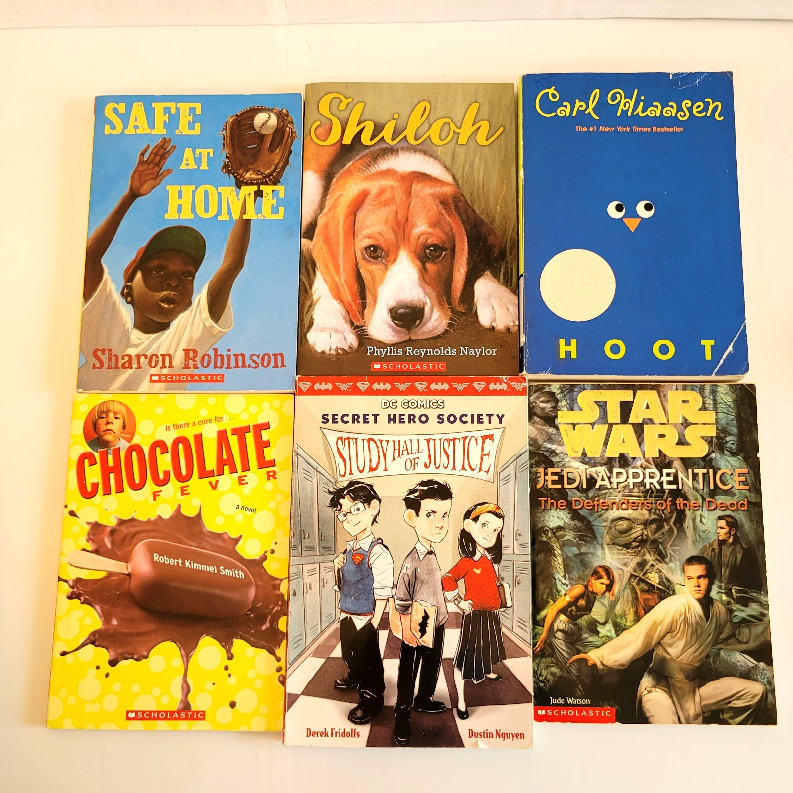 Boys 3rd/4th/5th/6th Grade Chapter Books Lot of 42 Homeschool PB Scholastic
