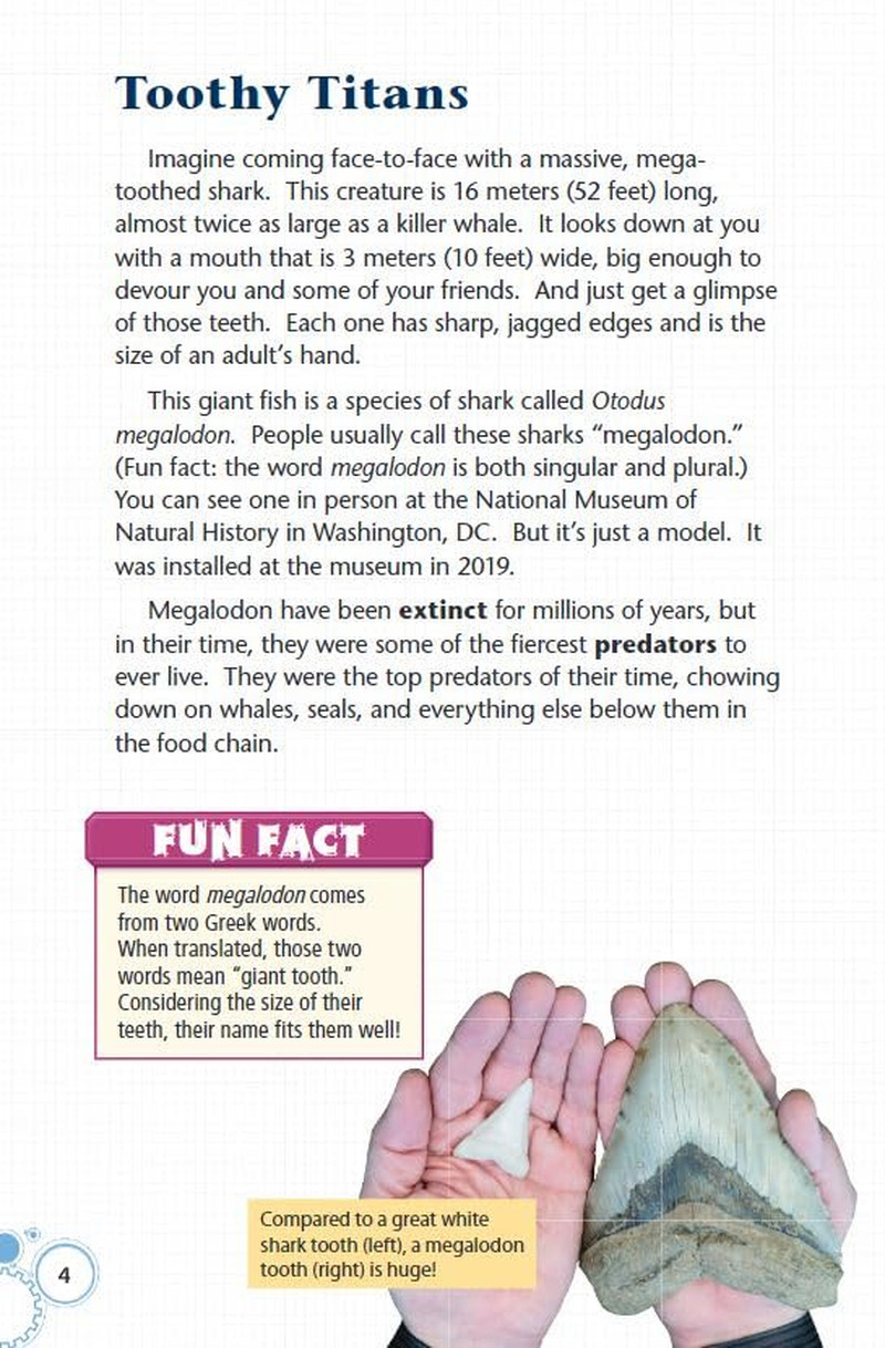 Meet the Megalodon (Smithsonian: Informational Text)